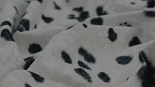 Тканини з принтом