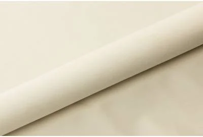 Ткань мебельная Велюр MAGIC VELVET 2250 Кремовый