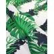 MONSTERA 05