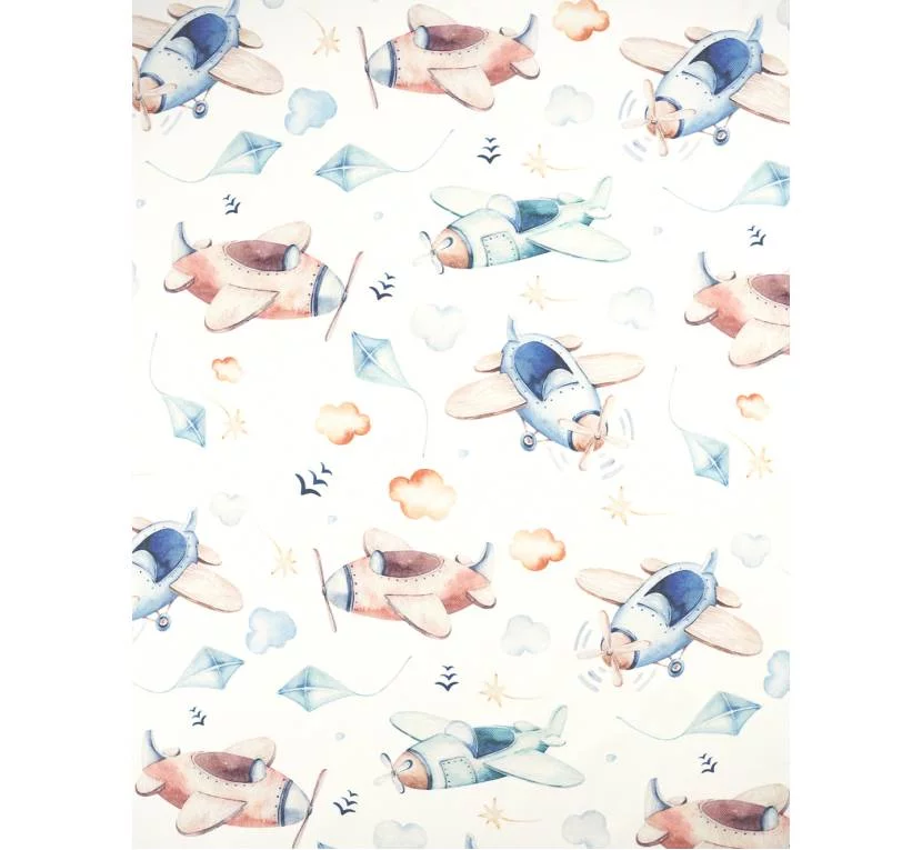 Принтована рогожка CANVA SAMOLOTY 01 в Toptextil Україна