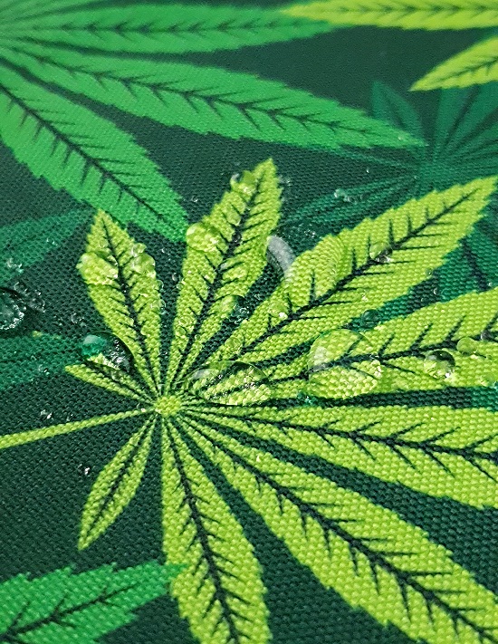 Вуличний дралон друкований GARDI CANABI 01 в магазині Toptextil Україна