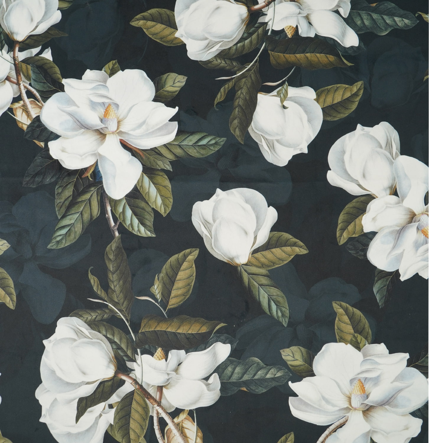 Принтованный велюр WONDER NO 103 в Toptextil Україна